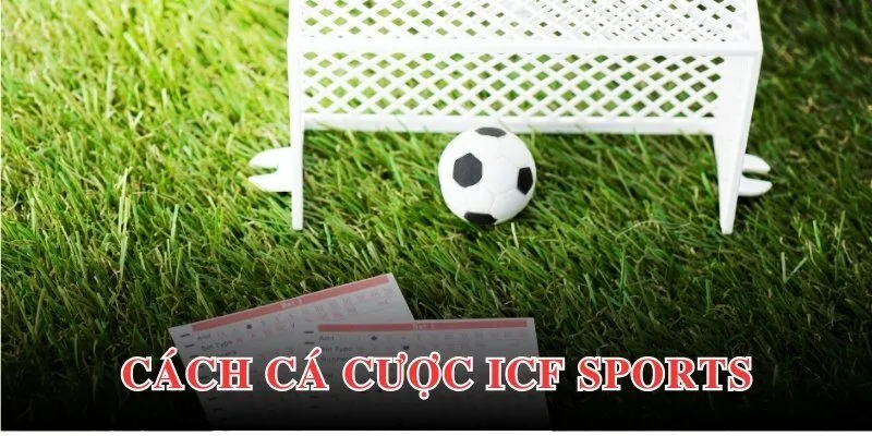 Hướng dẫn chi tiết cách thức đặt cược tại ICF Sports cho người mới