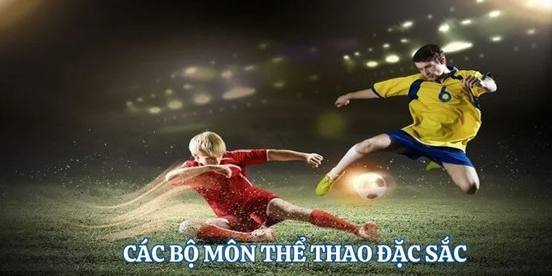 Các bộ môn thể thao được yêu thích tại 99OK