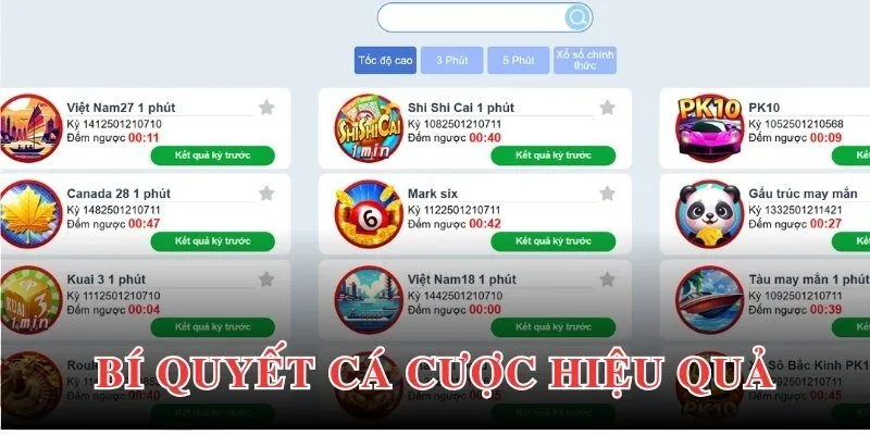 Bí quyết tham gia cá cược TP Lottery hiệu quả từ chuyên gia