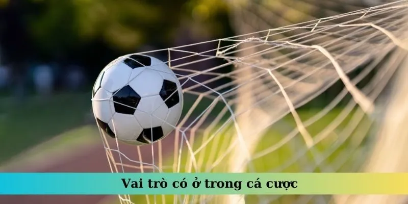 Vai trò có ở trong cá cược